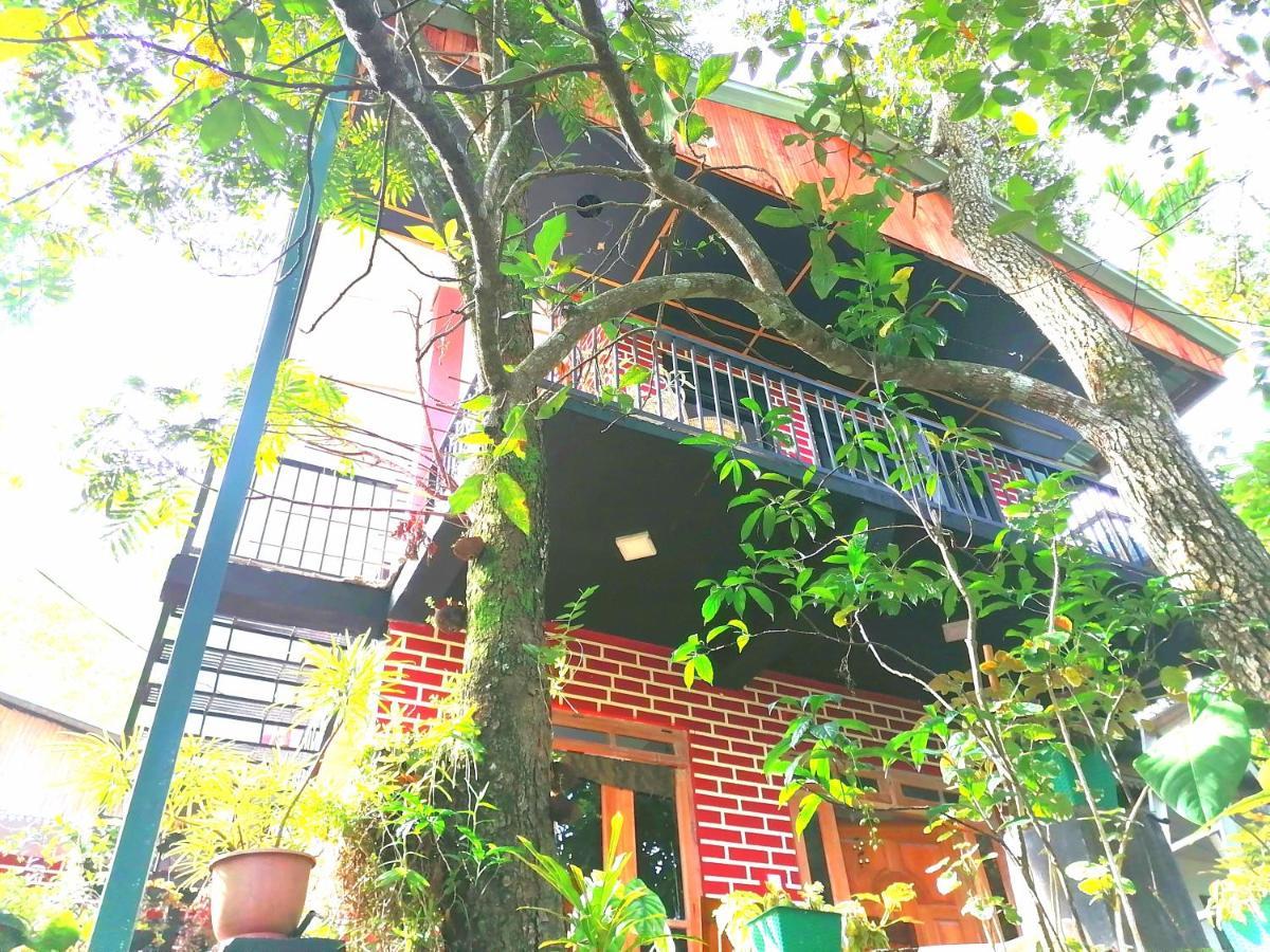 Summer Villa 埃拉 外观 照片